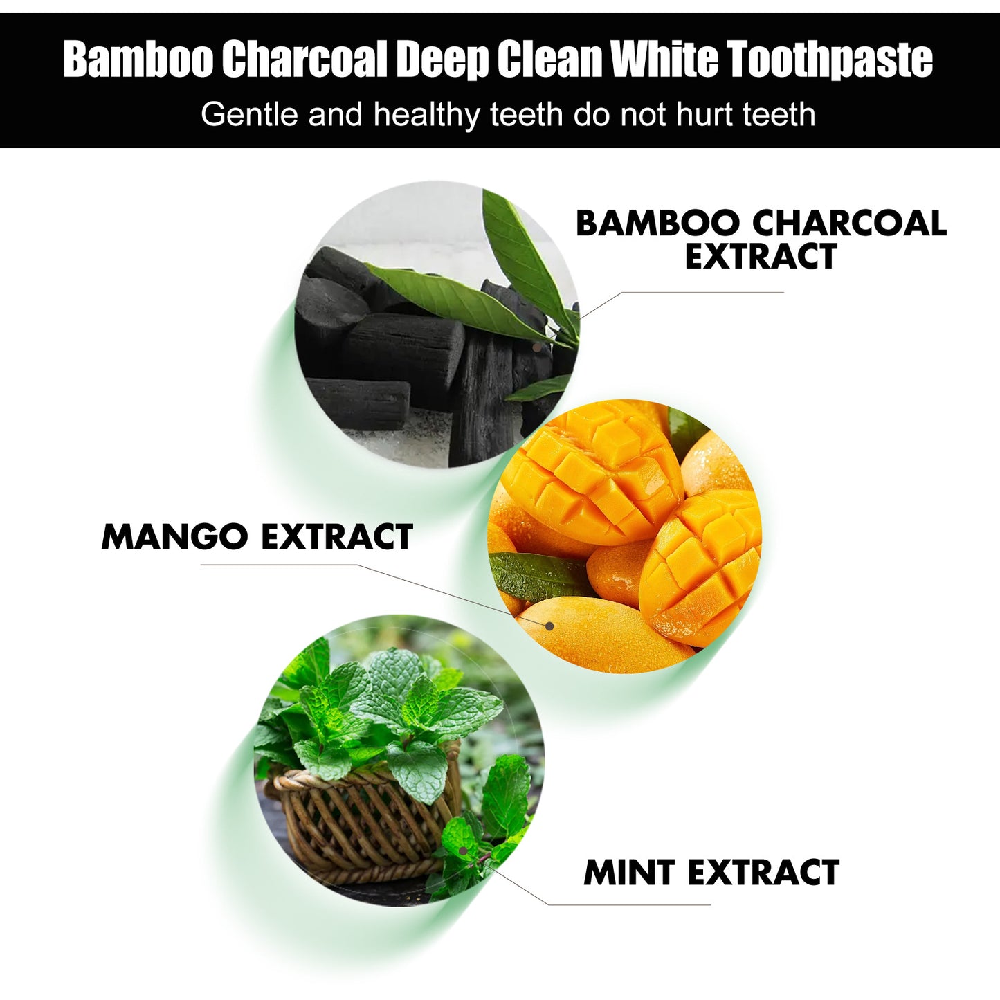 Mint & Mango Infused Bamboo Charcoal Toothpaste